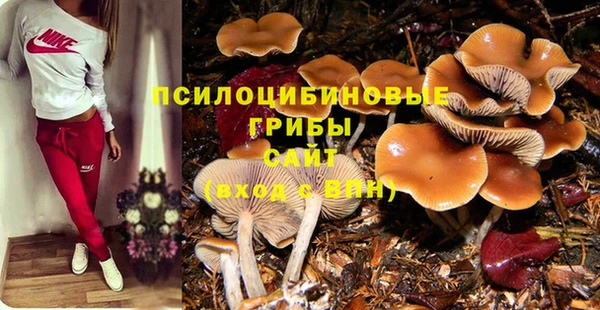 молекула духа Абдулино